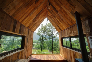 các loại ván gỗ công nghiệp